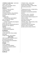 Nosies ligos LOR 7 puslapis