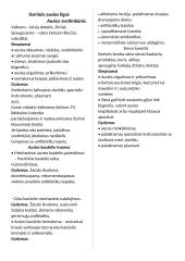 Nosies ligos LOR 10 puslapis