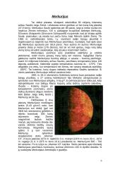 Saulės sistemos planetų aprašymai 6 puslapis