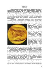 Saulės sistemos planetų aprašymai 8 puslapis