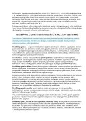 Ankstyvojo amžiaus vaiko pasiekimai ir pažangos vertinimas 2 puslapis
