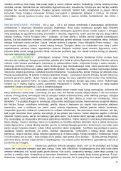 Privalomų autorių medžiaga ir kontekstai 11 puslapis