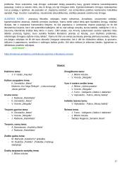 Privalomų autorių medžiaga ir kontekstai 17 puslapis