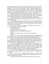 Senovės Graikijos ir Atėnų menas 8 puslapis