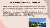 Ukraina, Ukrainos gamtiniai ištekliai, pramonė bei ekonomika 2 puslapis