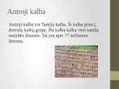 5 seniausios pasaulio kalbos 4 puslapis