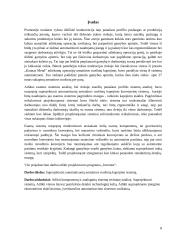 Armatūros strypų kapojimo sistema  8 puslapis