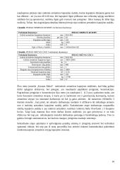 Armatūros strypų kapojimo sistema  10 puslapis