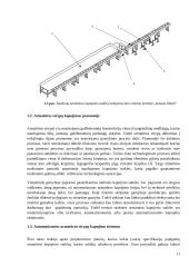 Armatūros strypų kapojimo sistema  11 puslapis