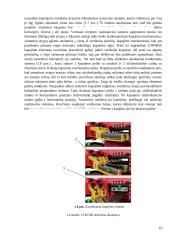 Armatūros strypų kapojimo sistema  14 puslapis