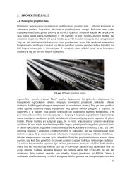 Armatūros strypų kapojimo sistema  16 puslapis