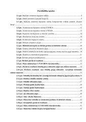 Armatūros strypų kapojimo sistema  6 puslapis