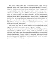 Baimės ir jų rūšys. Baimės įveikimo būdai 13 puslapis