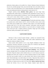 Baimės ir jų rūšys. Baimės įveikimo būdai 9 puslapis