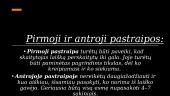 Elektroninio laiško reikalavimai 7 puslapis