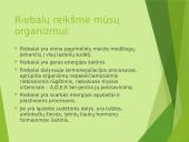 ,,Gerieji‘‘ ir ,,blogieji‘‘ riebalai 10 puslapis