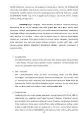 Internetinės reklamos technologijos ir įtaka vartotojui 9 puslapis