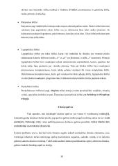 Internetinės reklamos technologijos ir įtaka vartotojui 10 puslapis