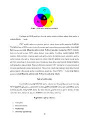 Internetinės reklamos technologijos ir įtaka vartotojui 12 puslapis