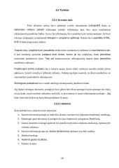 Internetinės reklamos technologijos ir įtaka vartotojui 17 puslapis