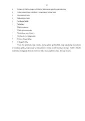 Skurdas Lietuvoje. Skurdą įtakojantys veiksniai. Skurdo pasekmės visuomenei. Galimos priemonės mažinti skurdą 11 puslapis