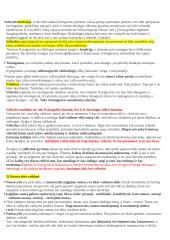 Politika - tai menas valdyti valstybę (Aristotelis) 2 puslapis