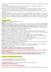 Politika - tai menas valdyti valstybę (Aristotelis) 3 puslapis