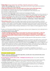 Politika - tai menas valdyti valstybę (Aristotelis) 5 puslapis