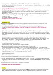 Politika - tai menas valdyti valstybę (Aristotelis) 7 puslapis