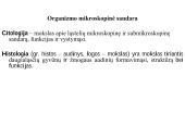 Organizmo ląstelinė struktūra