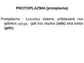 Organizmo ląstelinė struktūra 5 puslapis