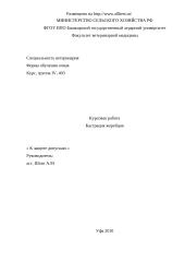 Кастрация жеребцов