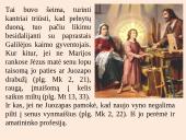 Meilė ir šeima Šventajame Rašte ir Bažnyčios mokyme 14 puslapis