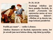 Meilė ir šeima Šventajame Rašte ir Bažnyčios mokyme 7 puslapis