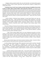 Jonas Mačiulis-Maironis (1862–1932) 2 puslapis