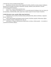 Realizmo istorinis ir biografinis kontekstas 2 puslapis