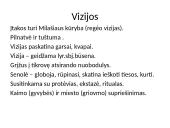 Vytautas Mačernis - jo biografija ir Vizijos 11 puslapis