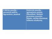Vytautas Mačernis - jo biografija ir Vizijos 12 puslapis