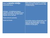 Vytautas Mačernis - jo biografija ir Vizijos 8 puslapis