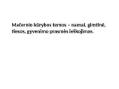 Vytautas Mačernis - jo biografija ir Vizijos 10 puslapis