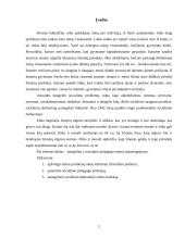 Socialinio darbuotojo etikos kodeksas 2 puslapis