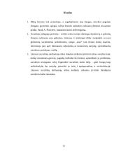 Socialinio darbuotojo etikos kodeksas 13 puslapis