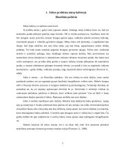 Socialinio darbuotojo etikos kodeksas 3 puslapis