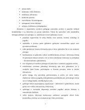 Socialinio darbuotojo etikos kodeksas 7 puslapis