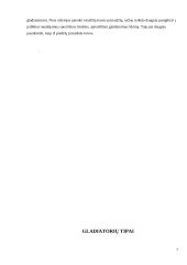 Gladiatorių tradicijos 7 puslapis