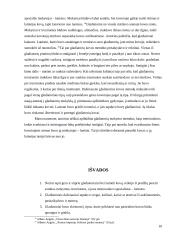 Gladiatorių tradicijos 10 puslapis