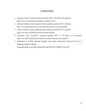 Japonijos ir Lietuvos mokyklų lyginamoji analizė 14 puslapis