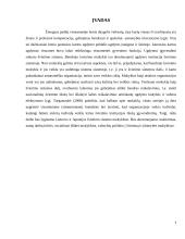 Japonijos ir Lietuvos mokyklų lyginamoji analizė 2 puslapis