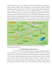 Japonijos ir Lietuvos mokyklų lyginamoji analizė 4 puslapis