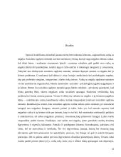 Socialinio darbuotojo veikla dirbant su šeimomis turinčiomis neįgalų vaiką 13 puslapis